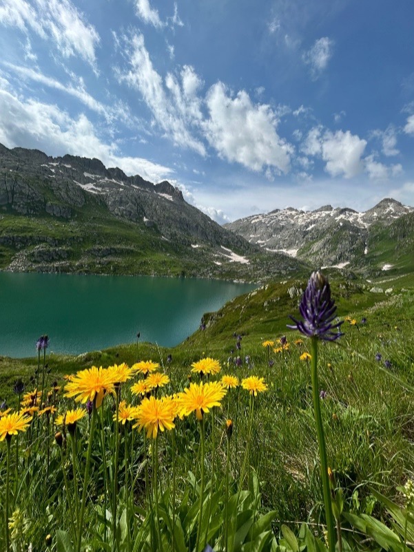 Jenny Werder Mountains